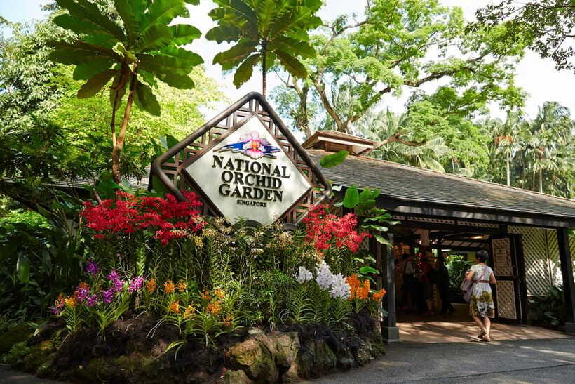 Singapore: National Orchid Garden Admission - Who Should Visit the National Orchid Garden?