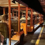 Singapore Night Safari - How to Make the Most of Your Night Safari Visit