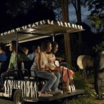 Singapore: Night Safari Entry Ticket - Who Will Love the Night Safari?