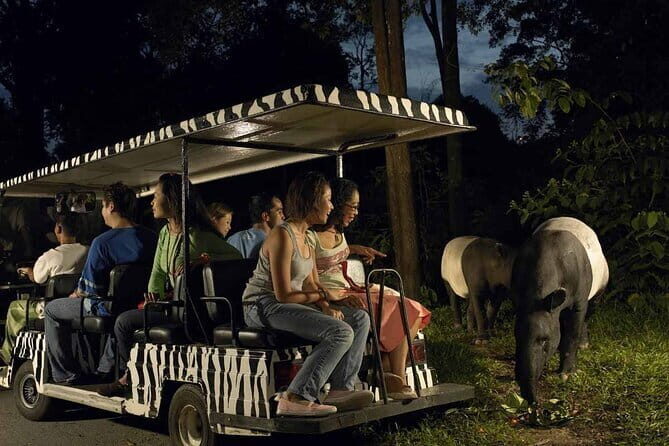 Singapore: Night Safari Entry Ticket - Who Will Love the Night Safari?
