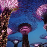 Singapore: Private Tour with a Local Guide - Why This Tour Offers Good Value