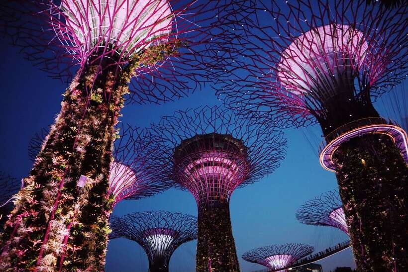 Singapore: Private Tour with a Local Guide - Why This Tour Offers Good Value