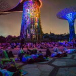 Singapore River Cruise, Light Shows and Twilight Tour - A Detailed Look at the Singapore River Cruise, Light Shows, and Twilight Tour