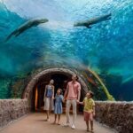 Singapore: River Wonders Entry Ticket - An In-Depth Look at Singapore’s River Wonders