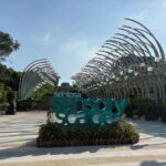 Singapore Sentosa Evening Escape - Light & Sound Experience - Practical Details and Value