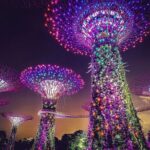 Singapore Starry Night : Cruise, Garden Rhapsody & Spectra Show - The Show-Stopping River Cruise: Gliding Through the Night