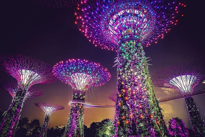 Singapore Starry Night : Cruise, Garden Rhapsody & Spectra Show