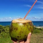 Singapore to Batam:City Tour with Ferry Tickets & Lunch - Frequently Asked Questions