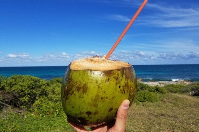 Singapore to Batam:City Tour with Ferry Tickets & Lunch - Frequently Asked Questions