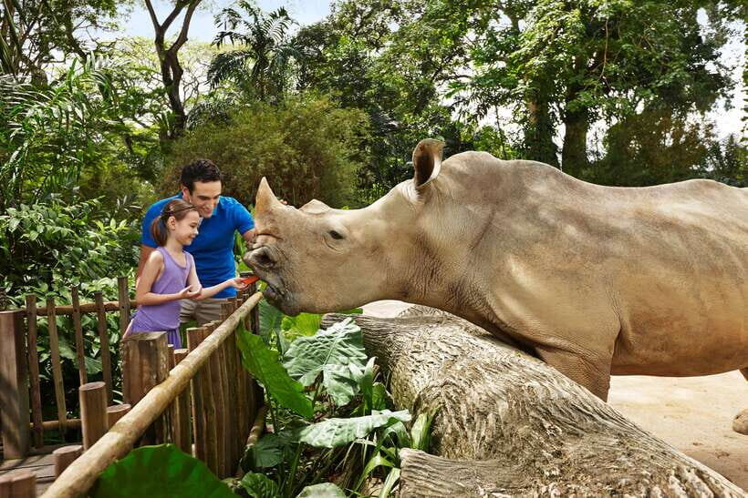 Singapore Zoo: 1-Day Entrance E-Ticket - Pricing and Value