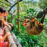 Singapore Zoo - The Sum Up