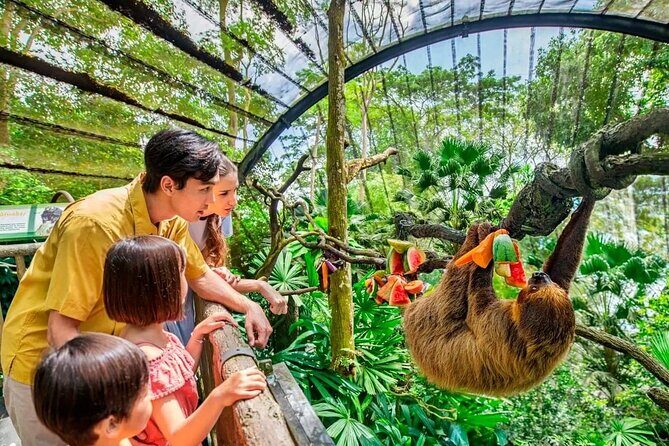Singapore Zoo & Night Safari Day ( Tickets & Transfer ) - A Deep Dive into the Experience