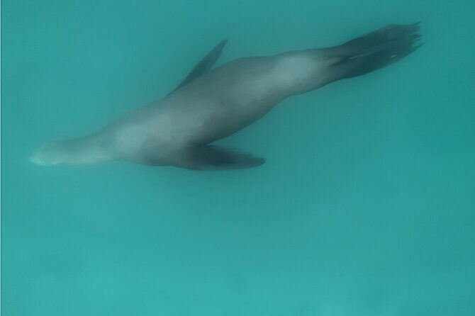 Single Kayak Rental in Mission Bay - Who Should Consider This Experience?