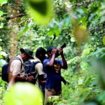 Sinharaja Rain Forest UNESCO Walk and Bird Watching Day Tour - Who’s This Tour For?
