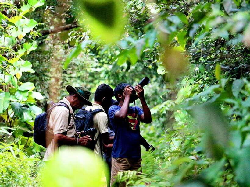 Sinharaja Rain Forest UNESCO Walk and Bird Watching Day Tour - Who’s This Tour For?