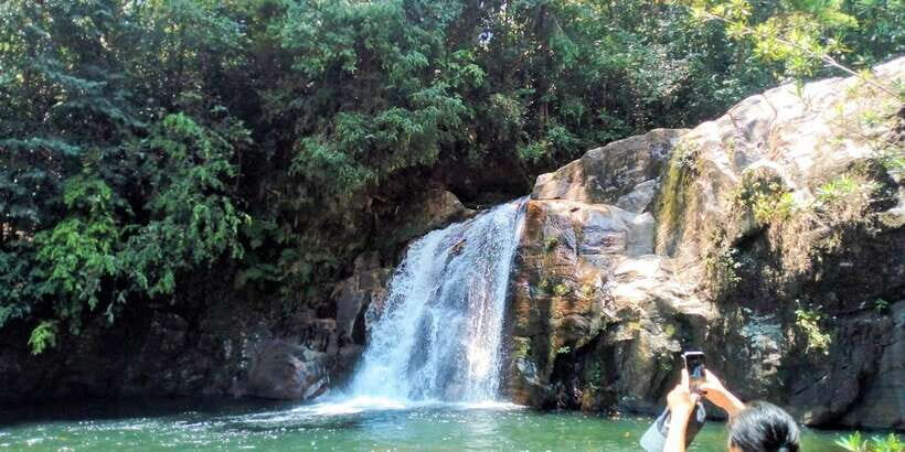 Sinharaja Rainforest Private & Customize Tour - Final Thoughts: Who Will Love This Tour?