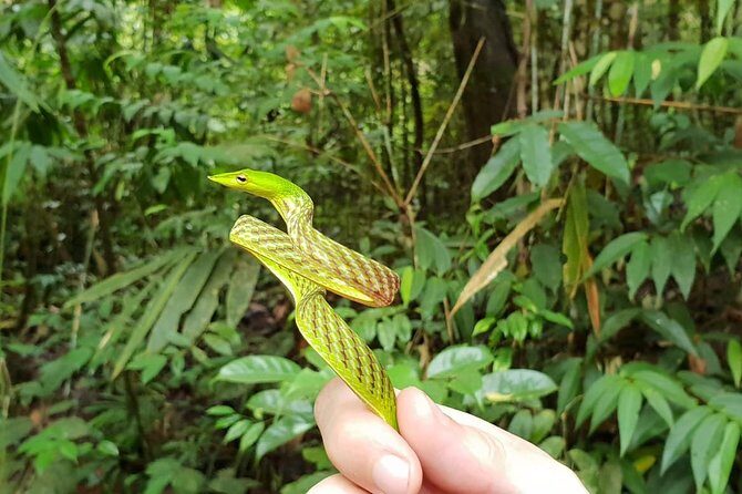 Sinharaja RainForest Private Full Day Tour - What the Reviews Say: Authentic Perspectives