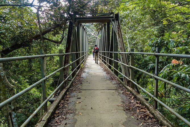 Sinharaja Rainforest Private Half Day Tour with Licensed Guide - An In-Depth Look at the Sinharaja Rainforest Tour