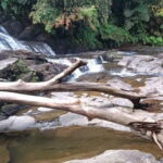 Sinharaja Rainforest: Tour with 5 Waterfalls Trek - Exploring the Itinerary: What You’ll Experience