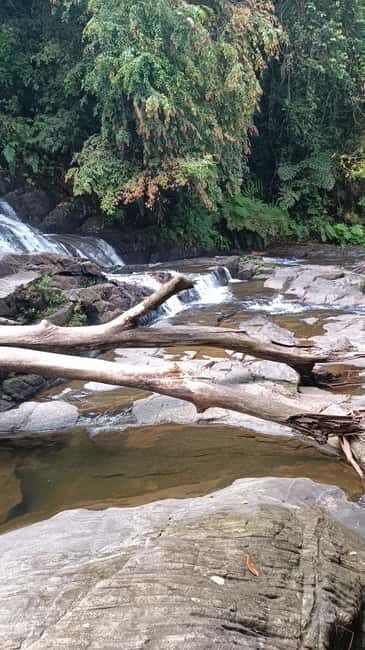 Sinharaja Rainforest: Tour with 5 Waterfalls Trek - Exploring the Itinerary: What You’ll Experience