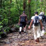Sinharaja Trekking Day Trip - Private & All Inclusive - The Day’s Itinerary: What to Expect