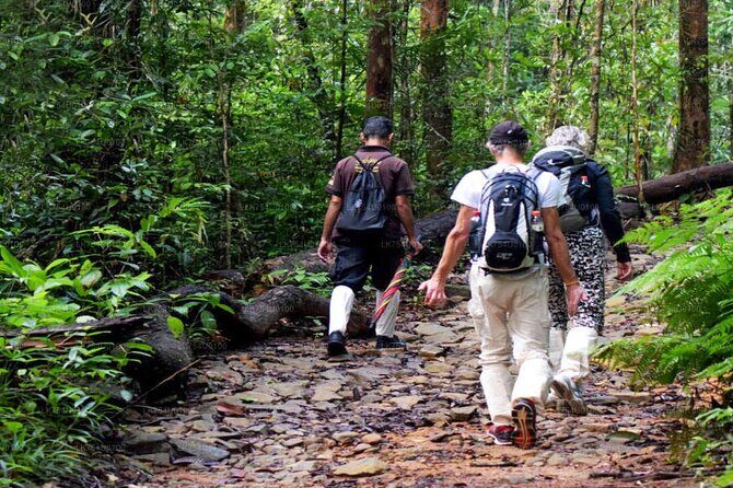 Sinharaja Trekking Day Trip - Private & All Inclusive - The Day’s Itinerary: What to Expect