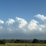 Sip Like a Local Private Wine Tours by Native Experts - The Sum Up