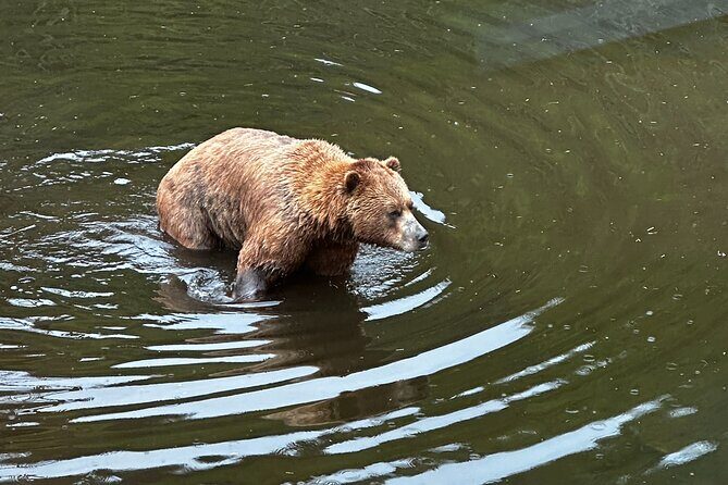 Sitka Private Adventure 4x4 Truck Tour & Lunch w/2 admissions - FAQs
