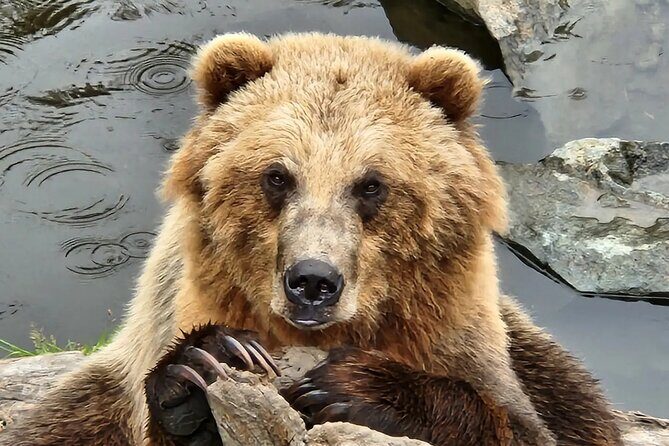 Sitka's only Private Simply Amazing Tour - Exploring Sitka’s Natural and Cultural Treasures