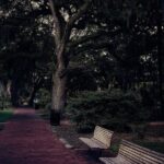 Sixth Sense Savannah Ghost Tour - Final Thoughts: Who Will Love the Sixth Sense Savannah Ghost Tour?