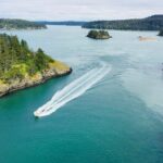 Skagit Valley Birding + Deception Pass Day Tour From Seattle - A Detailed Look at the Experience