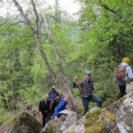 Skagway Adventure Hike - Deep Dive into the Experience: What You Can Expect