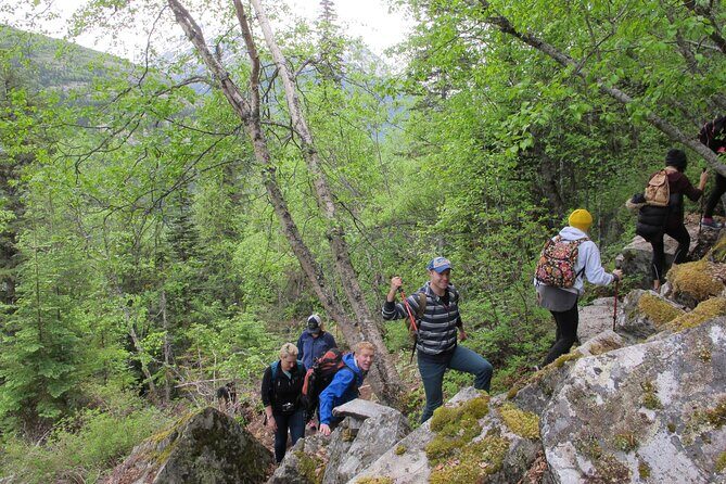 Skagway Adventure Hike - Deep Dive into the Experience: What You Can Expect