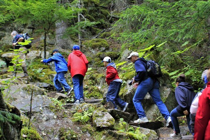 Skagway Shore Excursion Chilkoot Trail Hike and Float Tour - Why This Tour Works Well