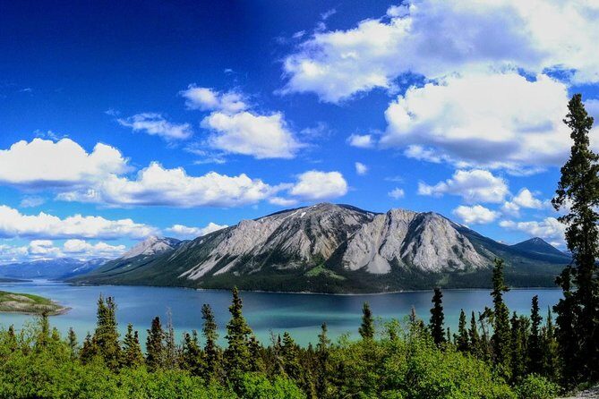 Skagway Shore Excursion: Full-Day Tour of the Yukon - What Sets This Tour Apart
