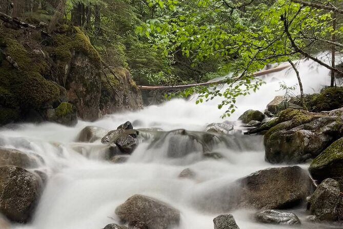 Skagway Waterfall Tour - Why This Tour Offers Good Value