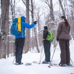 Skiing (Hok Ski) Excursion in Jacques-Cartier National Park - Who Will Love This Tour?