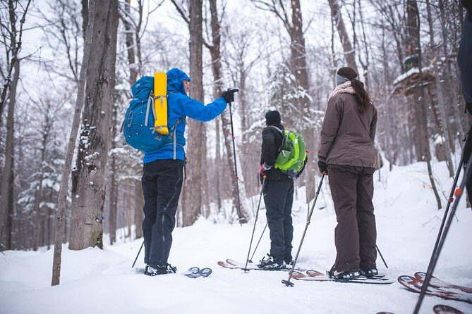 Skiing (Hok Ski) Excursion in Jacques-Cartier National Park - Who Will Love This Tour?