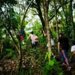 Skip the Line: Hike Eat Swim at Mount Purro Nature Reserve Ticket - Practical Tips