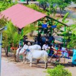 Skip the Line: Meher Retreat Day Picnic Ticket, Near Pune - The Sum Up