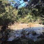 Skip the Line: Vallarta Botanical Garden Admission Ticket - The Ticket and Its Value