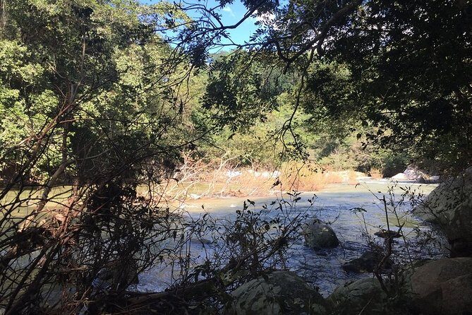 Skip the Line: Vallarta Botanical Garden Admission Ticket - The Ticket and Its Value