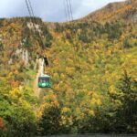 SkyExpress: Autumn Sounkyo Customised Private Day Tour (Up to 8 Passengers) - The Cultural and Culinary Finale: Asahikawa Ramen Village