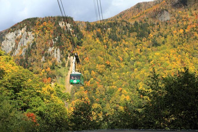 SkyExpress: Autumn Sounkyo Customised Private Day Tour (Up to 8 Passengers) - The Cultural and Culinary Finale: Asahikawa Ramen Village