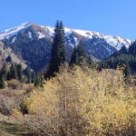 Skyline Hike in Almaty: Bukreev Peak - Why This Hike Stands Out