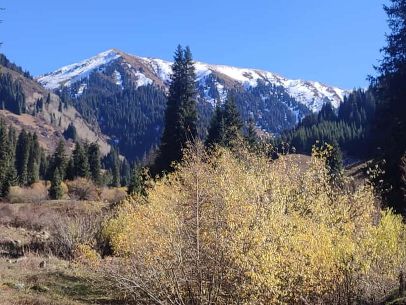 Skyline Hike in Almaty: Bukreev Peak - Why This Hike Stands Out