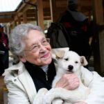 Sled Dog Discovery in Juneau - Authenticity and Experience Quality