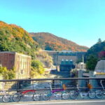 Slow Cycling Tour at Uji's Matcha Green Tea Fields and Heritage - The Itinerary: A Closer Look at the Highlights