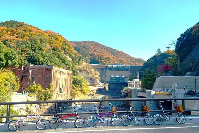Slow Cycling Tour at Uji's Matcha Green Tea Fields and Heritage - The Itinerary: A Closer Look at the Highlights