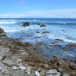 Small Group | 1 Day Tour Through Monterey From San Francisco - FAQ